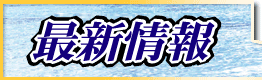 �ǿ�����